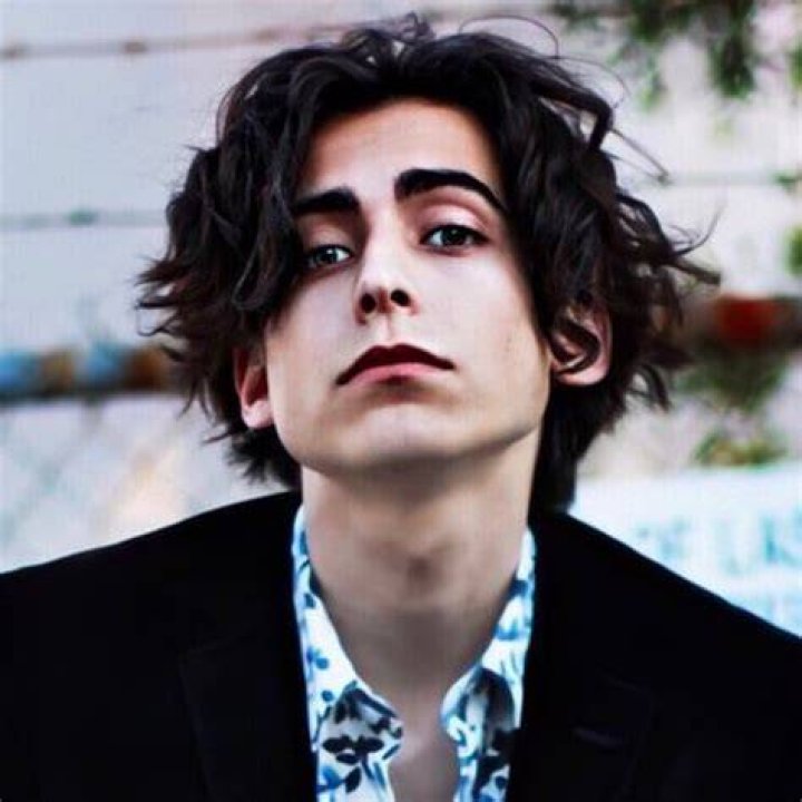 Aidan Gallagher Bio (Wiki) 