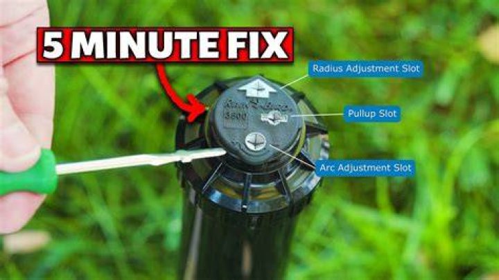 How do you adjust Rainbird rotors?