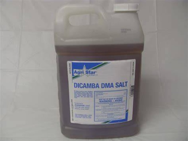 Is dicamba the same as banvel?
