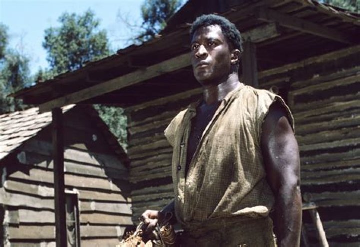 John Amos Bio (Wiki) 