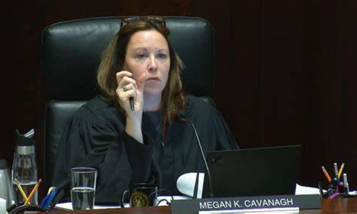 Megan Cavanagh Bio (Wiki) 