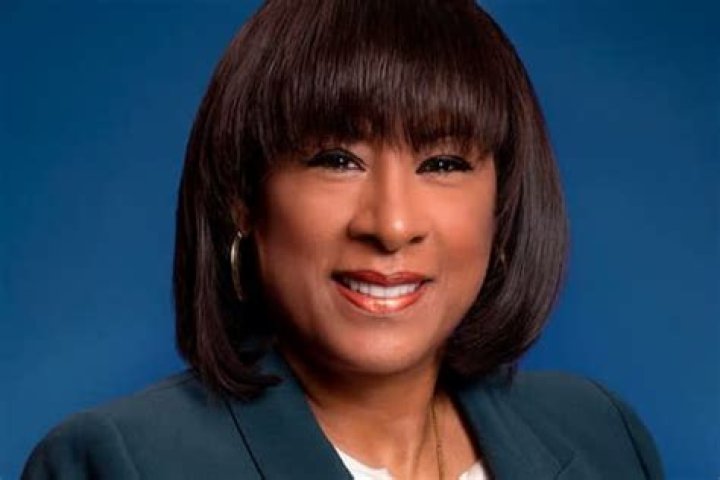 Pat Harvey Bio (Wiki) 