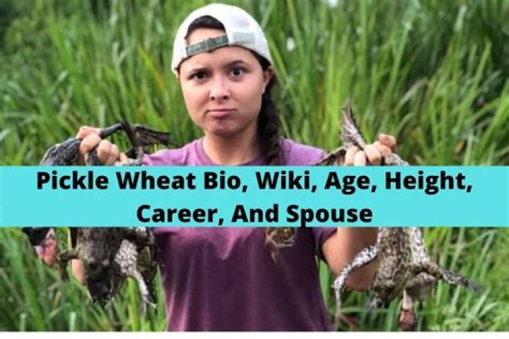 Pickle Wheat Bio (Wiki) 